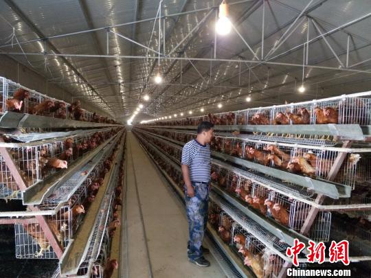 河北贫困山村的产业脱贫之路